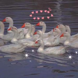 fuli.su黑料不打烊虾玩网
